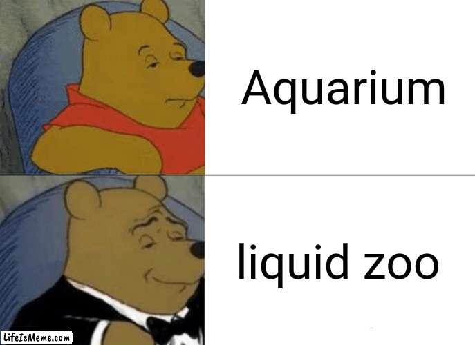 liquid zoo | Aquarium; liquid zoo | image tagged in memes,tuxedo winnie the pooh,aquarium,liquid,zoo | made w/ Lifeismeme meme maker