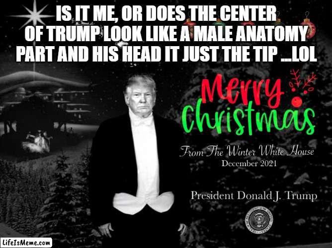 How things can be perceived | IS IT ME, OR DOES THE CENTER OF TRUMP LOOK LIKE A MALE ANATOMY PART AND HIS HEAD IT JUST THE TIP ...LOL | image tagged in tacky trump holiday card,visual pun,holiday,presentation,presidents,fashion | made w/ Lifeismeme meme maker