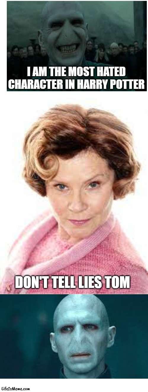 harry potter memes | I AM THE MOST HATED CHARACTER IN HARRY POTTER; DON'T TELL LIES TOM | image tagged in harry potter | made w/ Lifeismeme meme maker