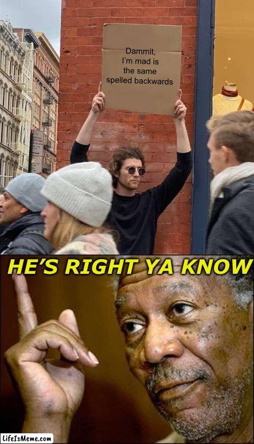 Kewl ? | Dammit, I’m mad is the same spelled backwards; HE’S RIGHT YA KNOW | image tagged in memes,guy holding cardboard sign,this morgan freeman | made w/ Lifeismeme meme maker