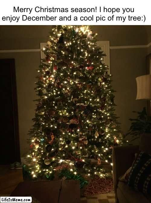 Happy Christmas month! | Merry Christmas season! I hope you enjoy December and a cool pic of my tree:) | image tagged in memes,funny,funny memes,christmas,merry christmas,santa | made w/ Lifeismeme meme maker