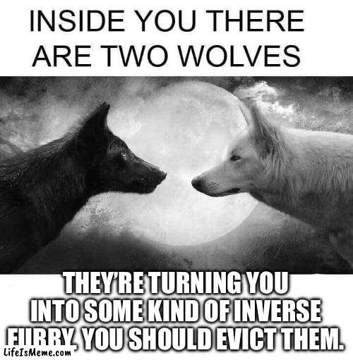 To defeat the furry without you must conquer the furry within | THEY’RE TURNING YOU INTO SOME KIND OF INVERSE FURRY. YOU SHOULD EVICT THEM. | image tagged in inside you there are two wolves,furry | made w/ Lifeismeme meme maker
