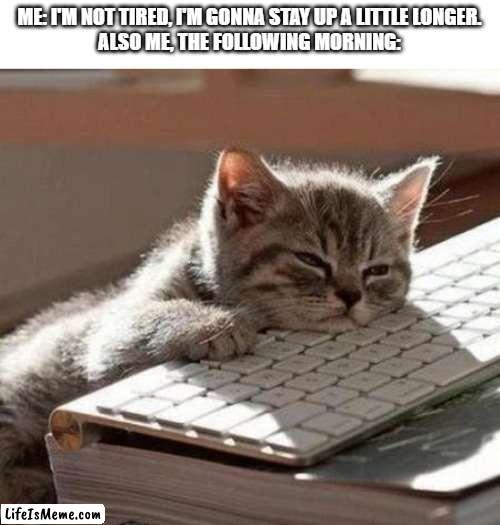 I can survive off of 5 hours of sleep and act like I got 12 hrs | ME: I'M NOT TIRED, I'M GONNA STAY UP A LITTLE LONGER.
ALSO ME, THE FOLLOWING MORNING: | image tagged in tired cat,tired,pain,so tired,yawn | made w/ Lifeismeme meme maker