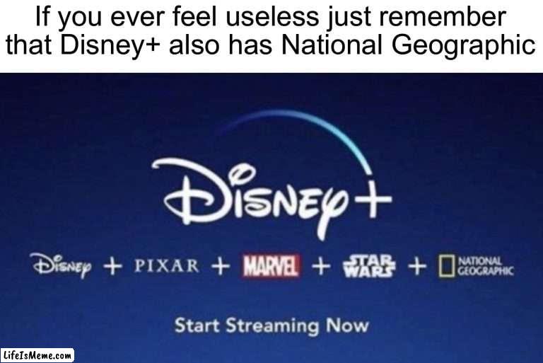 Who actually watches Nat Geo on Disney+ though | If you ever feel useless just remember that Disney+ also has National Geographic | image tagged in memes,funny,disney plus,if you ever feel useless,funny memes,true story | made w/ Lifeismeme meme maker