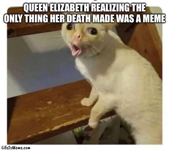 RIP queen Elizabeth | QUEEN ELIZABETH REALIZING THE ONLY THING HER DEATH MADE WAS A MEME | image tagged in coughing cat | made w/ Lifeismeme meme maker