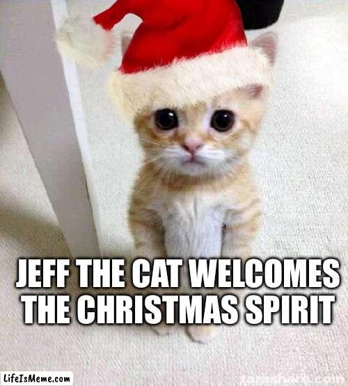 Jeff the cat | JEFF THE CAT WELCOMES THE CHRISTMAS SPIRIT | image tagged in christmas | made w/ Lifeismeme meme maker