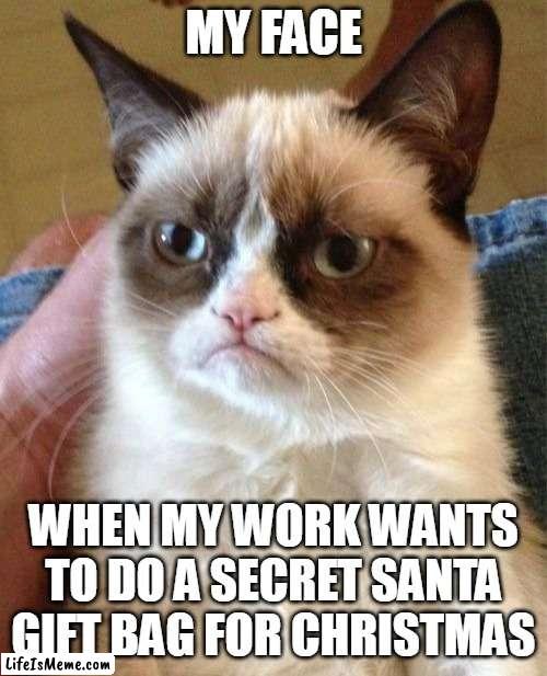When my work wants to do a secret santa gift bag for christmas | MY FACE; WHEN MY WORK WANTS TO DO A SECRET SANTA GIFT BAG FOR CHRISTMAS | image tagged in memes,grumpy cat,funny,work,christmas,gift | made w/ Lifeismeme meme maker