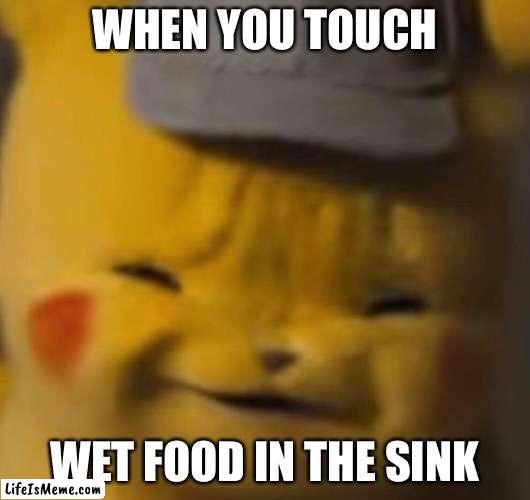 Pika | WHEN YOU TOUCH; WET FOOD IN THE SINK | image tagged in pika | made w/ Lifeismeme meme maker