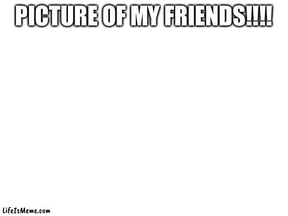 Good fun times | PICTURE OF MY FRIENDS!!!! | image tagged in blank white template | made w/ Lifeismeme meme maker