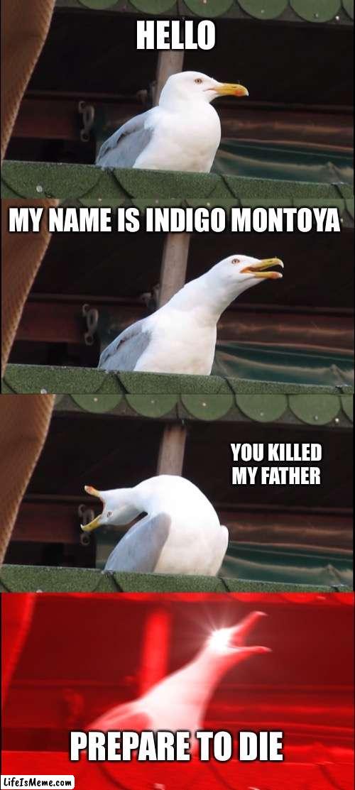 Prince groom | HELLO; MY NAME IS INDIGO MONTOYA; YOU KILLED MY FATHER; PREPARE TO DIE | image tagged in memes,inhaling seagull | made w/ Lifeismeme meme maker