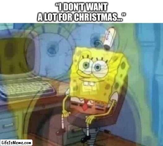 For me this is just in any time of the year, including Christmas | “I DON’T WANT A LOT FOR CHRISTMAS…” | image tagged in internal screaming | made w/ Lifeismeme meme maker