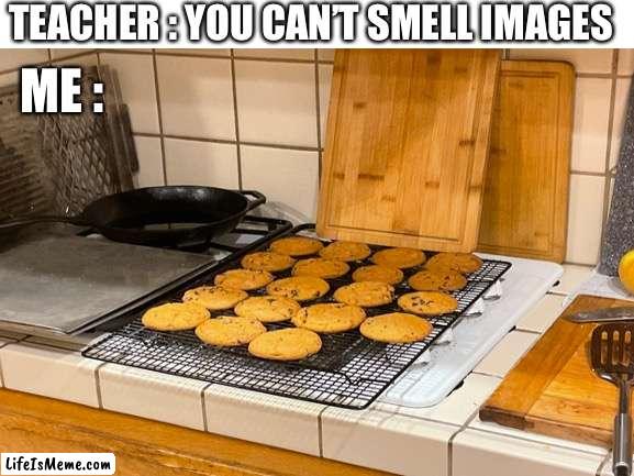 Cookes | TEACHER : YOU CAN’T SMELL IMAGES; ME : | image tagged in cookies | made w/ Lifeismeme meme maker