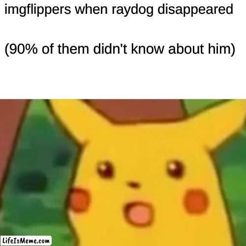 no no WAIT WAIT WAIT | imgflippers when raydog disappeared; (90% of them didn't know about him) | image tagged in memes,surprised pikachu,raydog | made w/ Lifeismeme meme maker