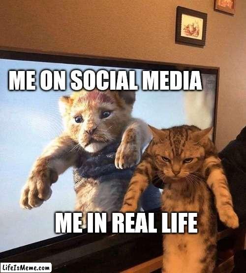 Introvert me | ME ON SOCIAL MEDIA; ME IN REAL LIFE | image tagged in introverts,cats,online | made w/ Lifeismeme meme maker