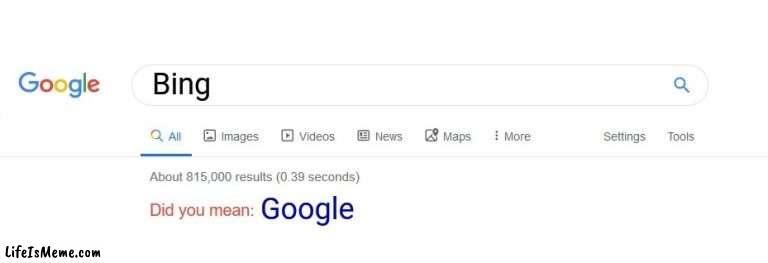 Not how to use this template #10 | Bing; Google | image tagged in did you mean | made w/ Lifeismeme meme maker