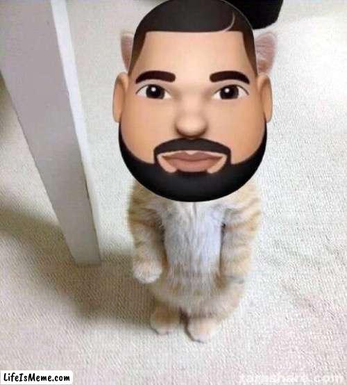 Dake cat | image tagged in cats dake,dake,cat | made w/ Lifeismeme meme maker