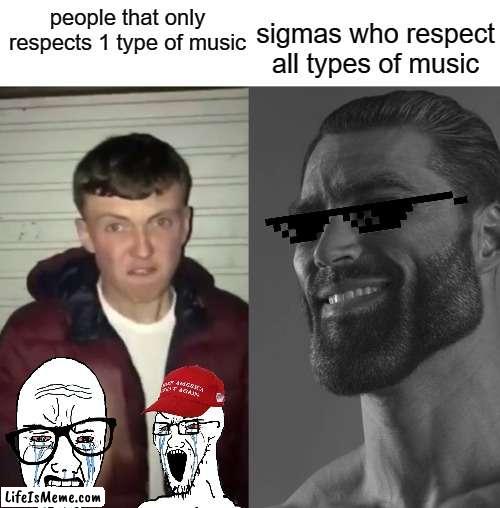 more facts | sigmas who respect all types of music; people that only respects 1 type of music | image tagged in average fan vs average enjoyer | made w/ Lifeismeme meme maker