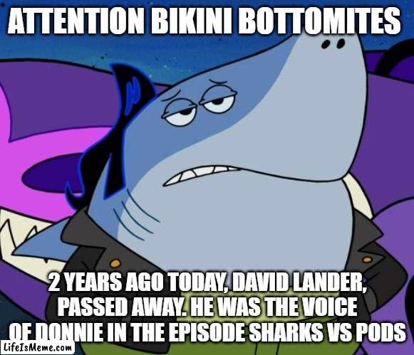 R. I. P. David Lander June 22nd 1947 to December 4th 2020 | ATTENTION BIKINI BOTTOMITES; 2 YEARS AGO TODAY, DAVID LANDER, PASSED AWAY. HE WAS THE VOICE OF DONNIE IN THE EPISODE SHARKS VS PODS | image tagged in spongebob | made w/ Lifeismeme meme maker