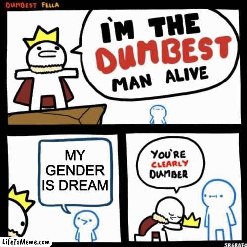 that's not a gender! | MY GENDER IS DREAM | image tagged in i'm the dumbest man alive | made w/ Lifeismeme meme maker