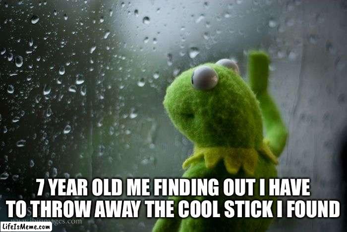 Fr and true | 7 YEAR OLD ME FINDING OUT I HAVE TO THROW AWAY THE COOL STICK I FOUND | image tagged in kermit window,memes,gifs,stick | made w/ Lifeismeme meme maker
