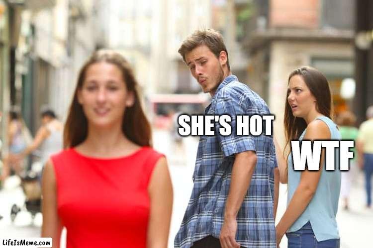 Meme no.2 | SHE'S HOT; WTF | image tagged in memes,distracted boyfriend | made w/ Lifeismeme meme maker