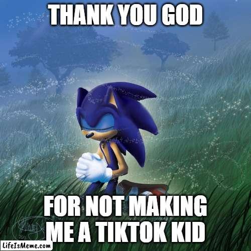 praying sonic | THANK YOU GOD; FOR NOT MAKING ME A TIKTOK KID | image tagged in praying sonic,memes,tiktok,tiktok sucks | made w/ Lifeismeme meme maker