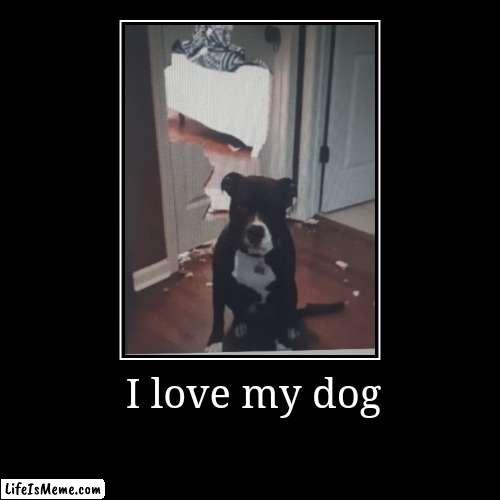 I love my dog ❤❤❤❤ | image tagged in funny,demotivationals,dog,random | made w/ Lifeismeme demotivational maker