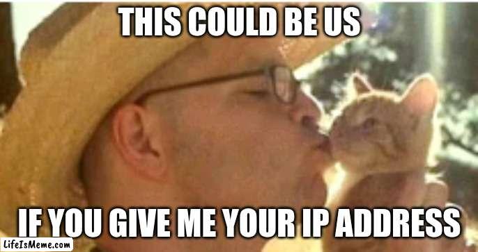 Island in the sus by weezer | THIS COULD BE US; IF YOU GIVE ME YOUR IP ADDRESS | image tagged in weezer,memes,funny,sexy,nsfw,hot babes | made w/ Lifeismeme meme maker