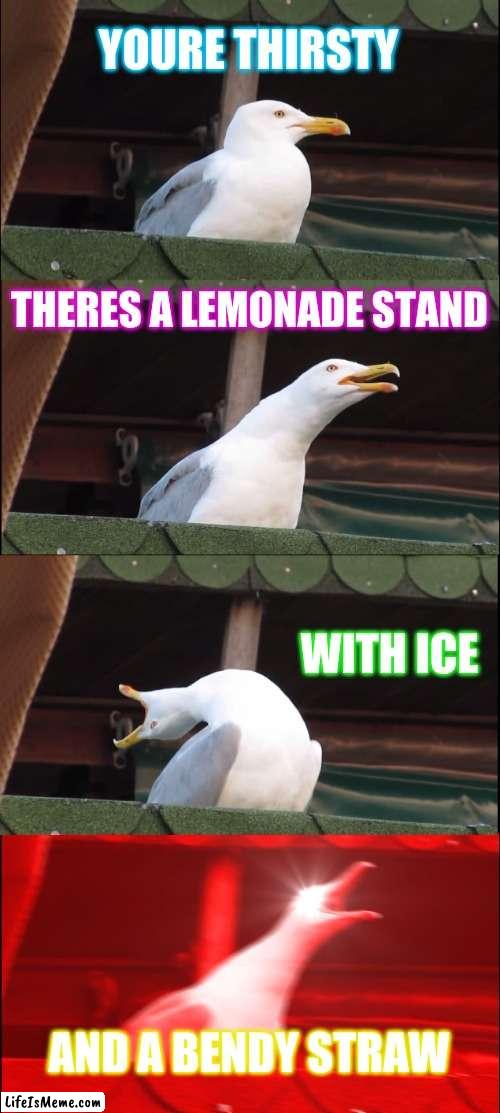 Inhaling seagule | YOURE THIRSTY; THERES A LEMONADE STAND; WITH ICE; AND A BENDY STRAW | image tagged in memes,inhaling seagull | made w/ Lifeismeme meme maker