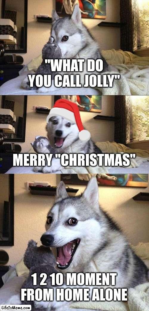 one two TEN | "WHAT DO YOU CALL JOLLY"; MERRY "CHRISTMAS"; 1 2 10 MOMENT FROM HOME ALONE | image tagged in memes,bad pun dog | made w/ Lifeismeme meme maker