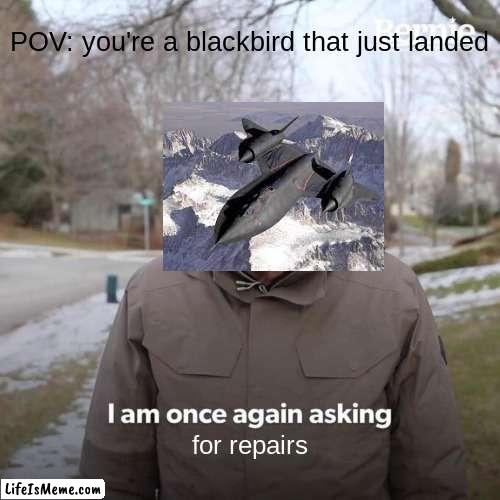 SO. MANY. REPAIRS. | POV: you're a blackbird that just landed; for repairs | image tagged in memes,bernie i am once again asking for your support | made w/ Lifeismeme meme maker