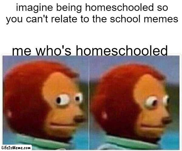 any other homeschoolers out there?? | imagine being homeschooled so you can't relate to the school memes; me who's homeschooled | image tagged in memes,monkey puppet,homeschool | made w/ Lifeismeme meme maker