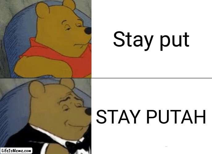 So, its something I said while playing roblox  doors w my bestie (I play roblox, ik  cringe right?) | Stay put; STAY PUTAH | image tagged in memes,tuxedo winnie the pooh | made w/ Lifeismeme meme maker