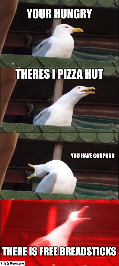 duck pizza hut | YOUR HUNGRY; THERES I PIZZA HUT; YOU HAVE COUPONS; THERE IS FREE BREADSTICKS | image tagged in memes,inhaling seagull | made w/ Lifeismeme meme maker