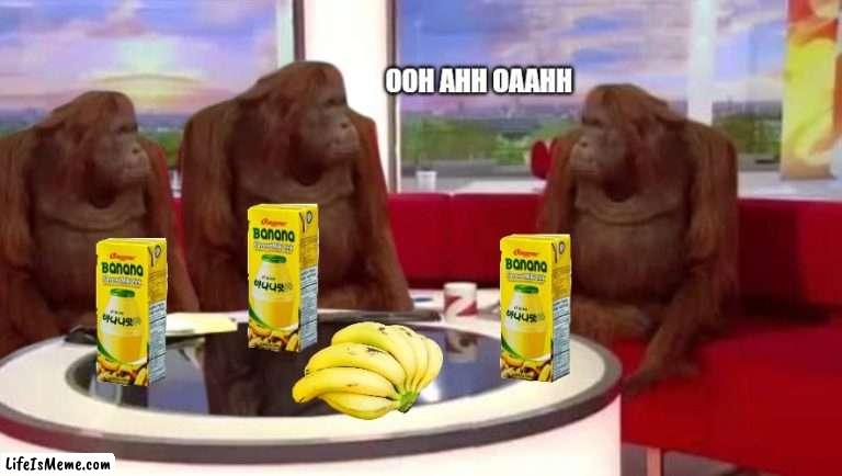 monke interview | OOH AHH OAAHH | image tagged in where monkey | made w/ Lifeismeme meme maker