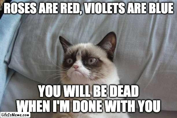 Grumpy cat :( | image tagged in grumpy cat,valentines day,cat | made w/ Lifeismeme meme maker