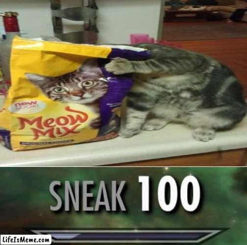 hehe sneak 100 indeed | image tagged in cat,sneak 100,sneaky,funny,meow | made w/ Lifeismeme meme maker