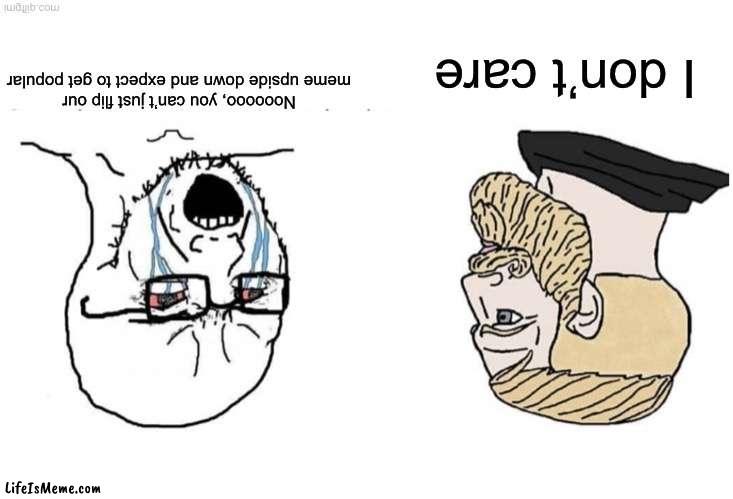 Because Why not | Noooooo, you can’t just flip our meme upside down and expect to get popular; I don’t care | image tagged in chad,upside-down | made w/ Lifeismeme meme maker