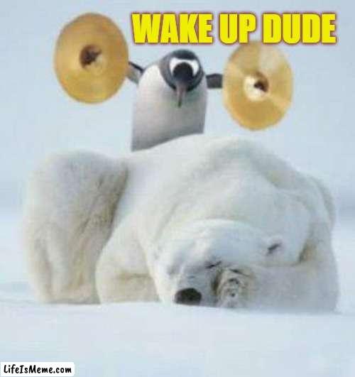 Wake Up | WAKE UP DUDE | image tagged in wake up | made w/ Lifeismeme meme maker