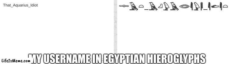 Why am I so many birds?? | MY USERNAME IN EGYPTIAN HIEROGLYPHS | image tagged in egypt,random | made w/ Lifeismeme meme maker