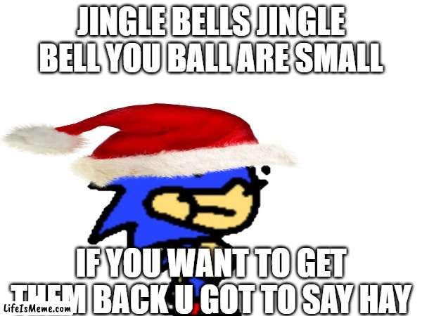 sunky | JINGLE BELLS JINGLE BELL YOU BALL ARE SMALL; IF YOU WANT TO GET THEM BACK U GOT TO SAY HAY | image tagged in gaming,sonic,christmas,happy holidays | made w/ Lifeismeme meme maker