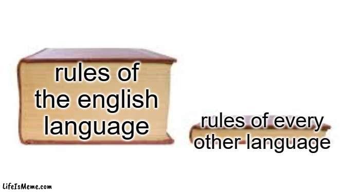 why english gotta so confusing? | rules of the english language; rules of every other language | image tagged in big book small book | made w/ Lifeismeme meme maker