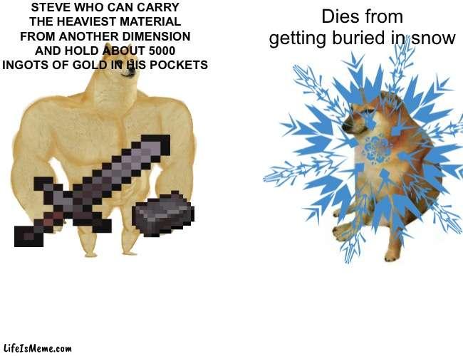 I farted | STEVE WHO CAN CARRY THE HEAVIEST MATERIAL FROM ANOTHER DIMENSION AND HOLD ABOUT 5000 INGOTS OF GOLD IN HIS POCKETS; Dies from getting buried in snow | image tagged in minecraft | made w/ Lifeismeme meme maker