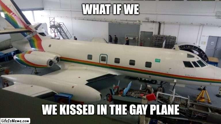 The gay plane | WHAT IF WE; WE KISSED IN THE GAY PLANE | image tagged in the gay plane,lgbtq,airplane,plane,fun | made w/ Lifeismeme meme maker