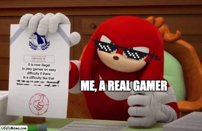 Only real gamers play games. | it is now illegal to play games on easy difficulty if there is a difficulty like that; ME, A REAL GAMER | image tagged in memes,knuckles,mayor | made w/ Lifeismeme meme maker