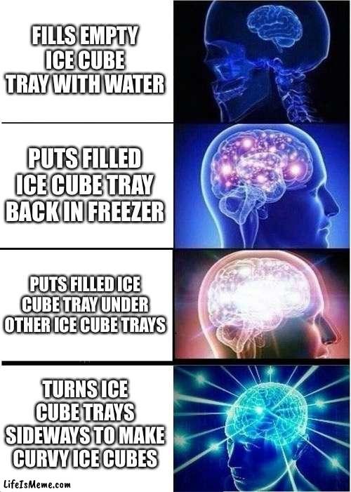 Curvy Ice cubes | FILLS EMPTY ICE CUBE TRAY WITH WATER; PUTS FILLED ICE CUBE TRAY BACK IN FREEZER; PUTS FILLED ICE CUBE TRAY UNDER OTHER ICE CUBE TRAYS; TURNS ICE CUBE TRAYS SIDEWAYS TO MAKE CURVY ICE CUBES | image tagged in memes,expanding brain | made w/ Lifeismeme meme maker