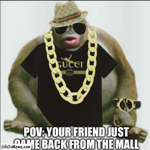 When your friend comes from the mall | POV: YOUR FRIEND JUST CAME BACK FROM THE MALL | image tagged in monke,mall,rejected | made w/ Lifeismeme meme maker