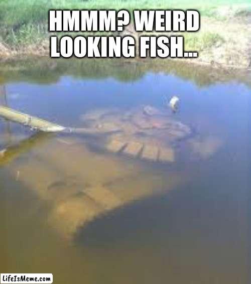 Tank in water | HMMM? WEIRD LOOKING FISH... | image tagged in memes,tank | made w/ Lifeismeme meme maker
