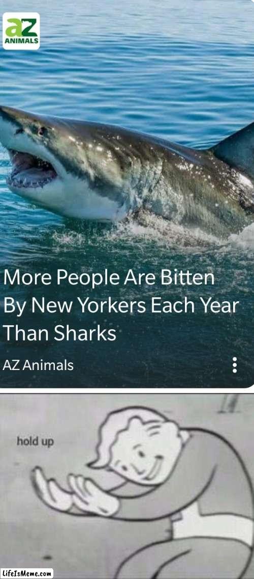 ?!? | image tagged in fallout hold up,memes,hmmm,news,funny | made w/ Lifeismeme meme maker