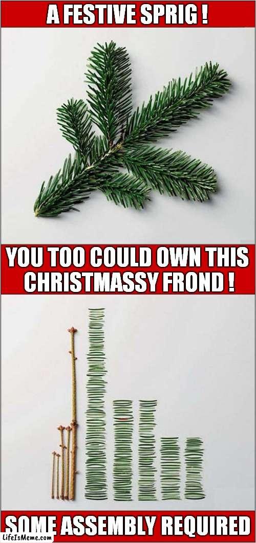 A Seasonal Opportunity Awaits | A FESTIVE SPRIG ! YOU TOO COULD OWN THIS
 CHRISTMASSY FROND ! SOME ASSEMBLY REQUIRED | image tagged in fun,christmas tree,diy | made w/ Lifeismeme meme maker